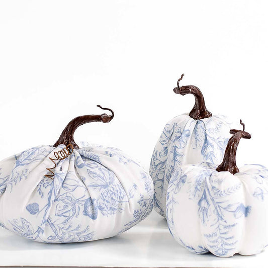 Blanche Pumpkin Cream/Blue 7.5"