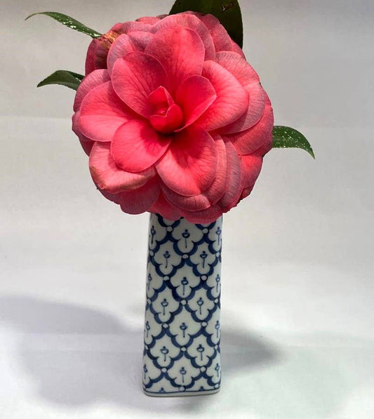 Vase, Washington Monument